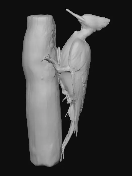 3D model for Woodland Sentinel