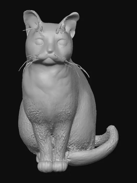 3D model for Whiskers