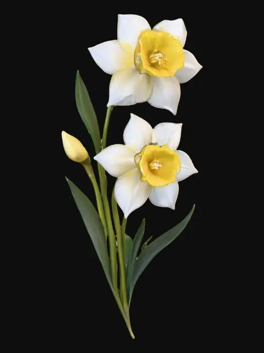3D model for Twin Daffodils