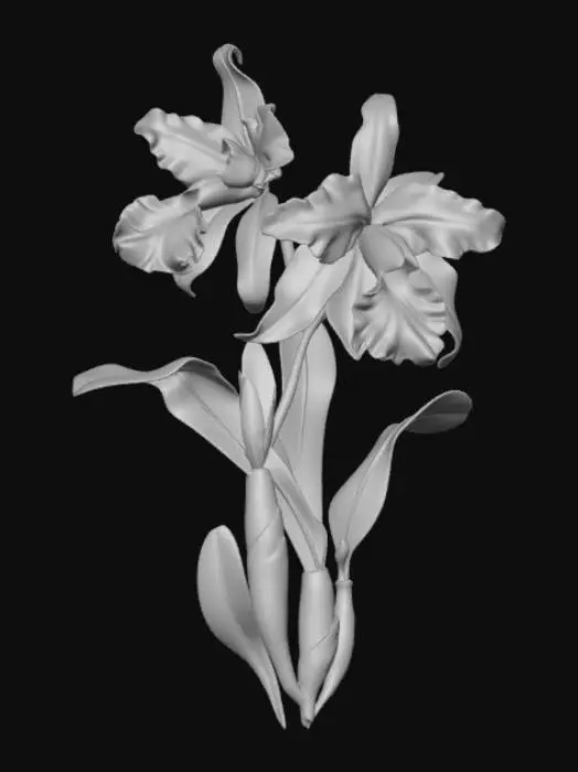3D model for Blue Irises