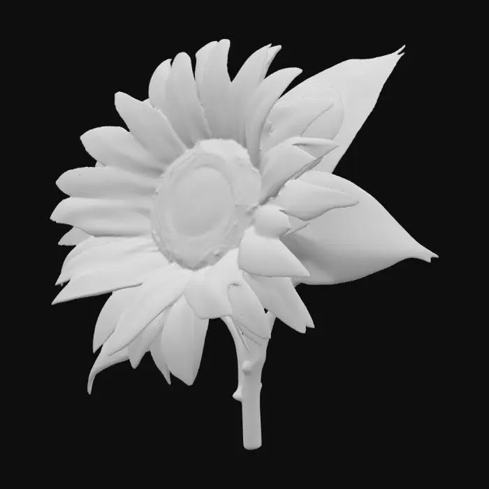 3D model for Sunflower on stem with 3 leaves on a pure white background 