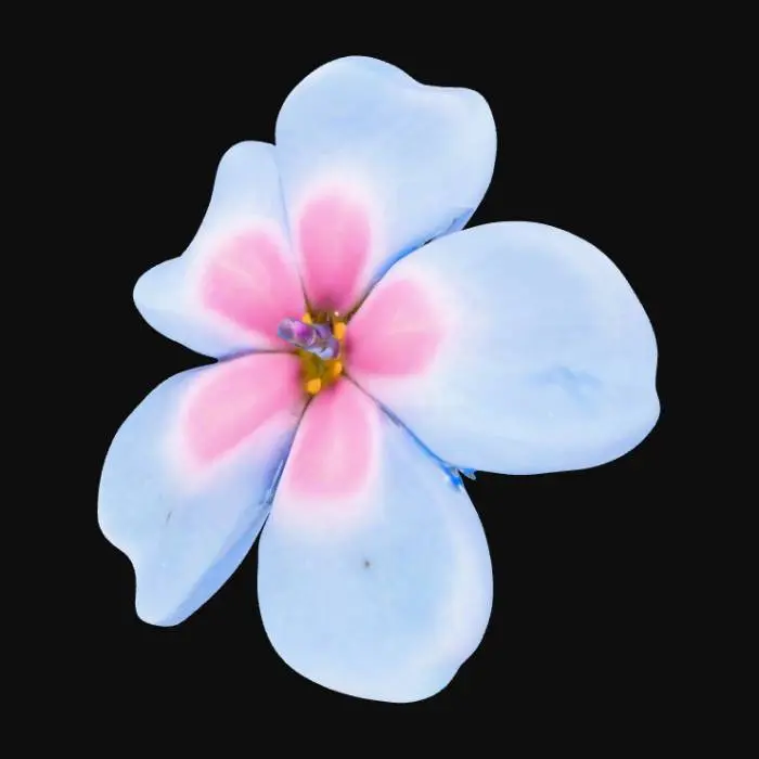 3D model for Pretty clump of forget-me-not flowers pink and blue on a pure white background 