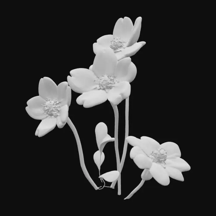 3D model for Pretty clump of forget-me-not flowers pink and blue on a pure white background 