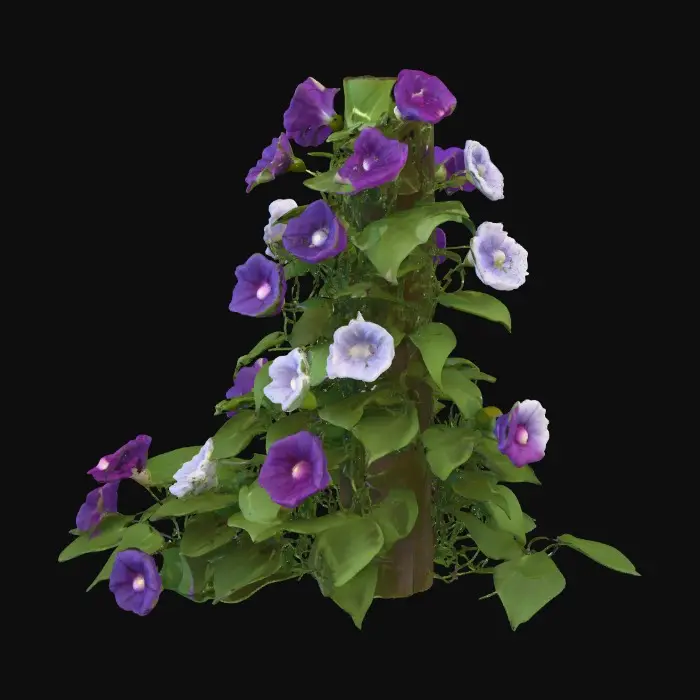 3D model for Thick vine of leafy morning glories flowers