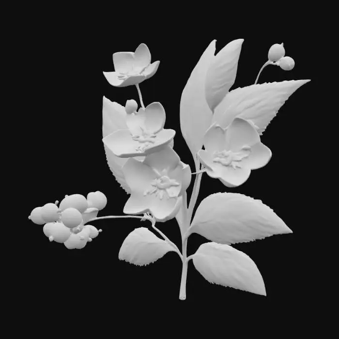 3D model for Small blue flowers with large leaves and mixed berries 