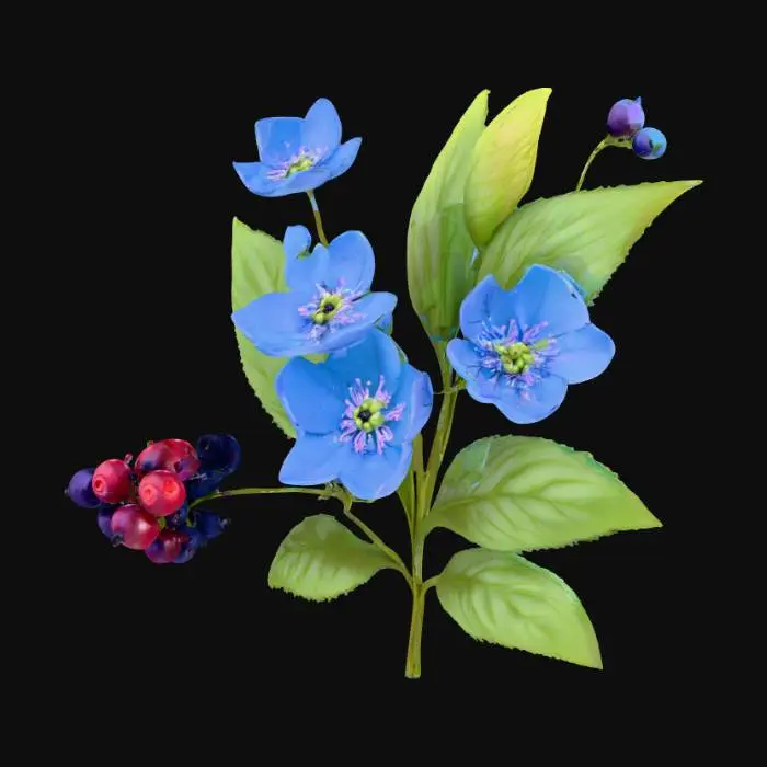 3D model for Small blue flowers with large leaves and mixed berries 