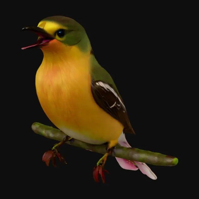 3D model for Hyper-realistic beautiful colorful song bird is chirping on a fully blossomed dogwood branch, high definition great detail to the feathers, the blossoms, and the variegated leaves of green #PBR#