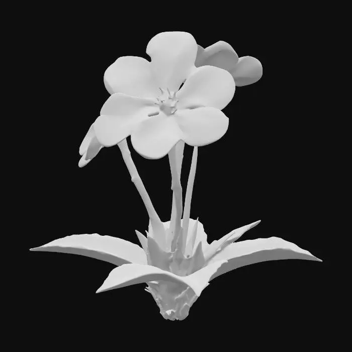 3D model for Small ground level trio of closely grouped five petal of magenta/pink/orange flowers with darkish ab green leaves 
#PBR# #PBR#, 