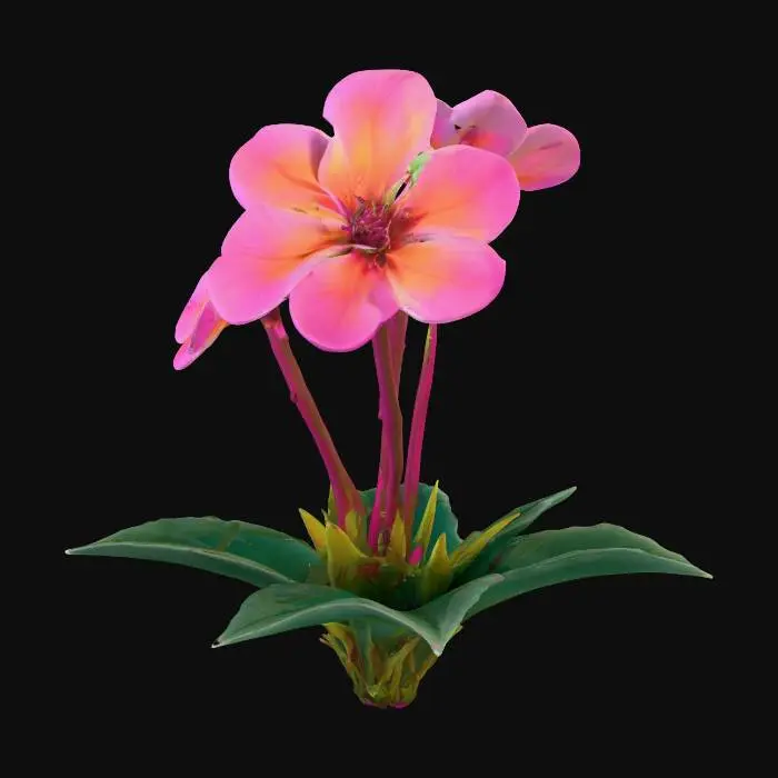 3D model for Small ground level trio of closely grouped five petal of magenta/pink/orange flowers with darkish ab green leaves 
#PBR# #PBR#, 