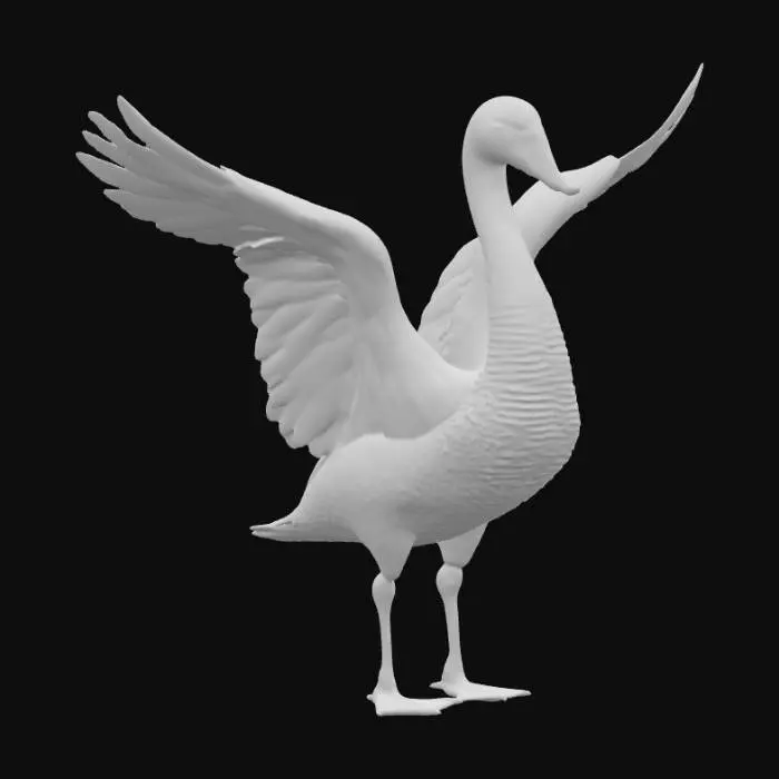 3D model for Beautiful muted Swan. Regal stance with wide open wings with large highly detailed feathers. Hyper-realistic , #PBR# 