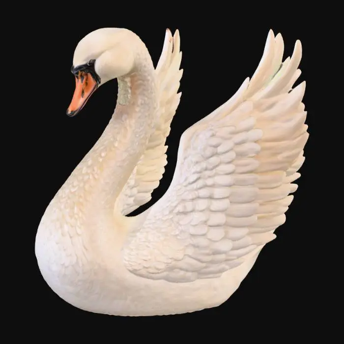 3D model for Majestic trumpet Swan floats upon the pond. Opalescent well-defined 3d wings with each feather well formed.  Hyper-realistic features perfect form centered on a white background. Large opened wings. Fluffed feathers  layered 