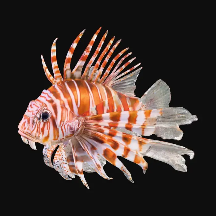 3D model for 1000053525.jpg