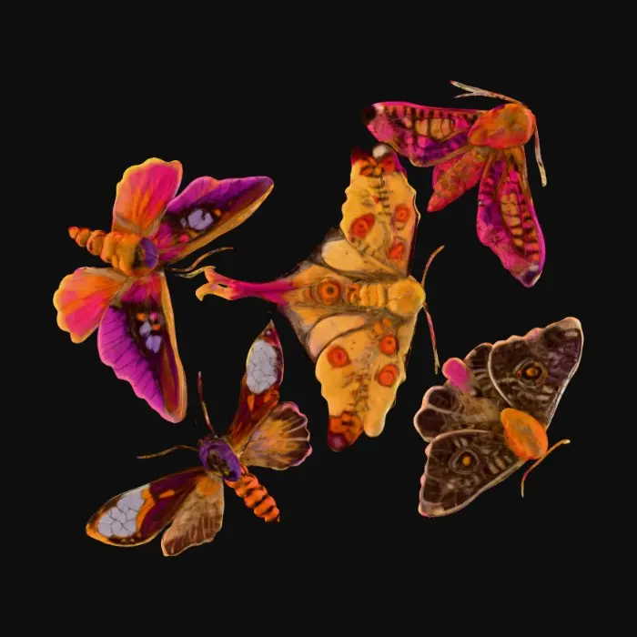 3D model for 1000054076.jpg