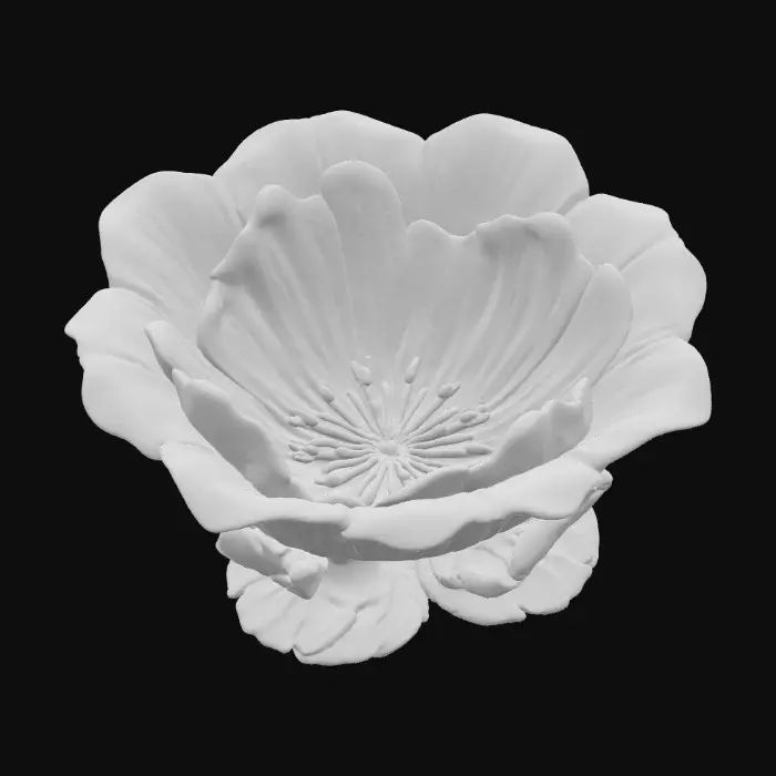 3D model for 1000054222.jpg