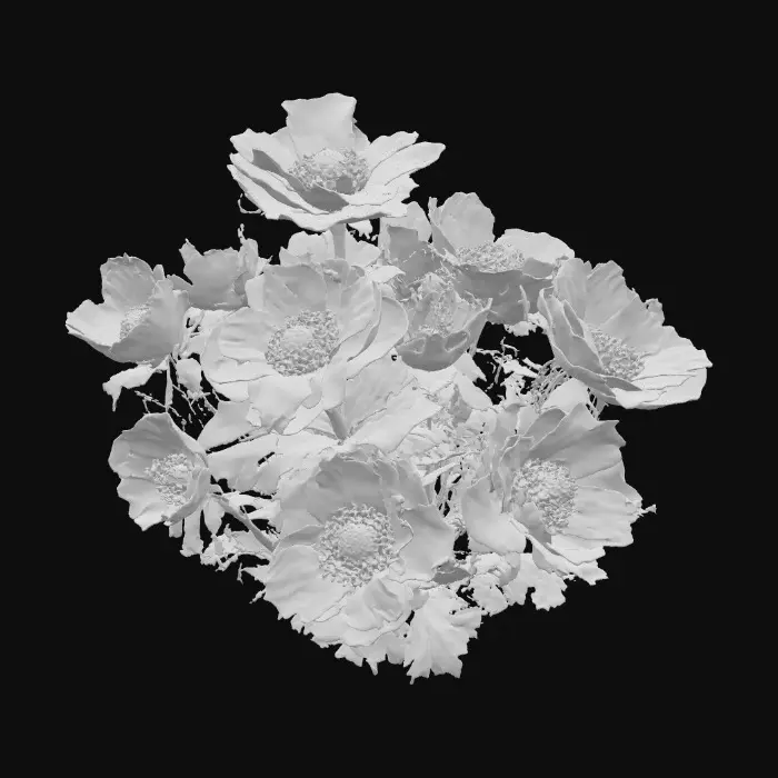 3D model for 1000054241.jpg