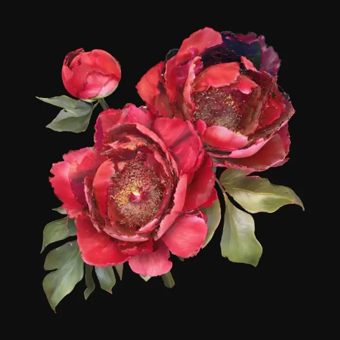 3D model for 1000054637.jpg