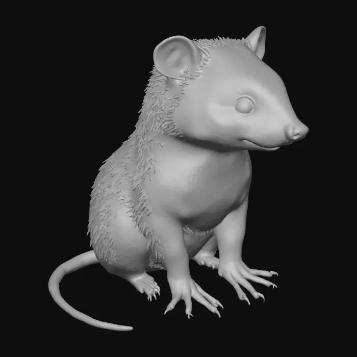 3D model for 1000055036.jpg