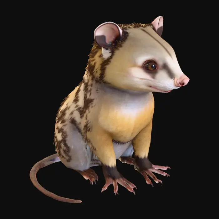 3D model for 1000055036.jpg