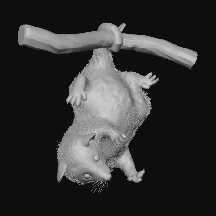 3D model for 1000055043.jpg