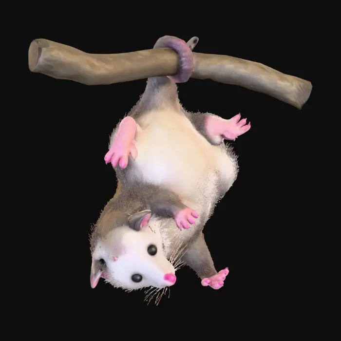 3D model for 1000055043.jpg