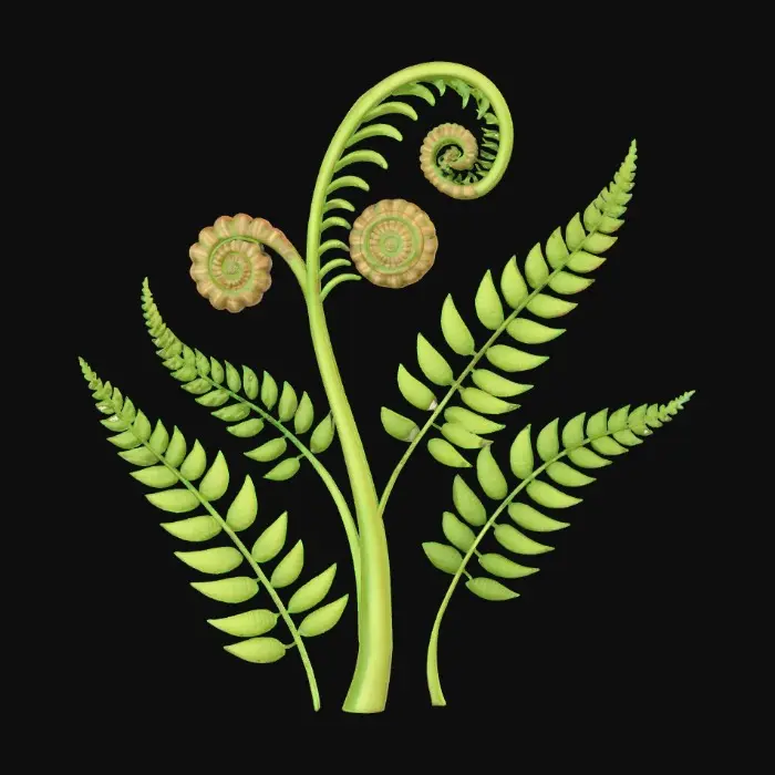 3D model for 1000055123.jpg