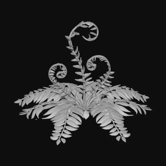 3D model for 1000055125.jpg