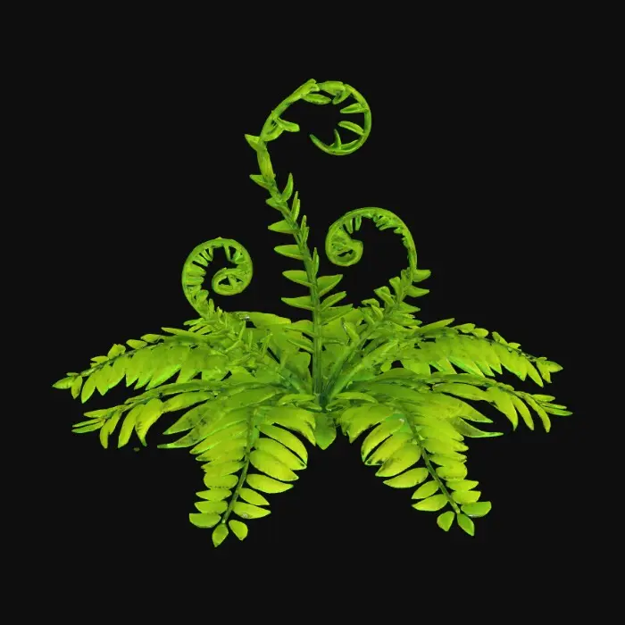 3D model for 1000055125.jpg