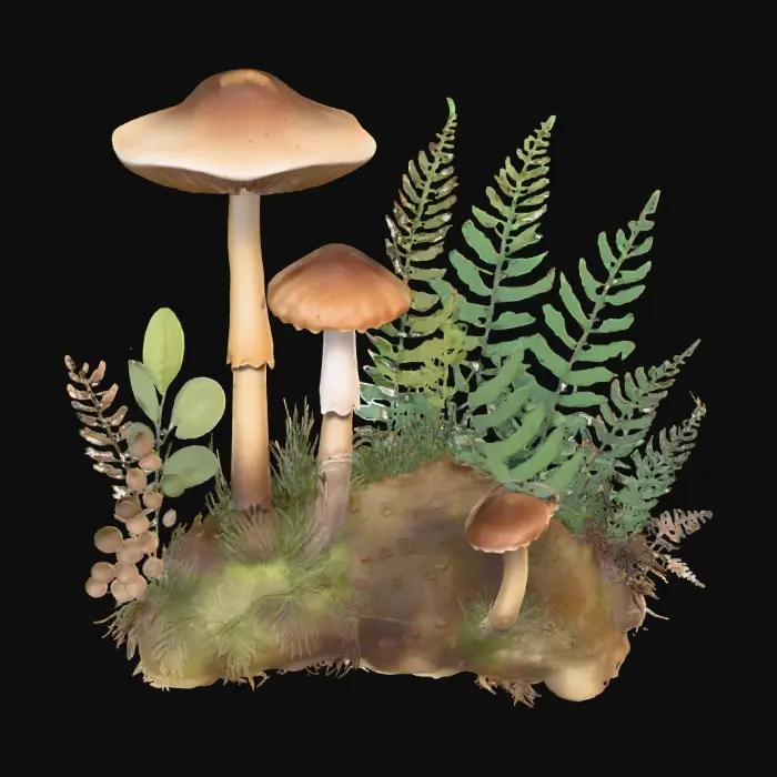 3D model for 1000055446.jpg