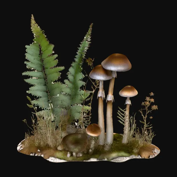 3D model for 1000055444.jpg