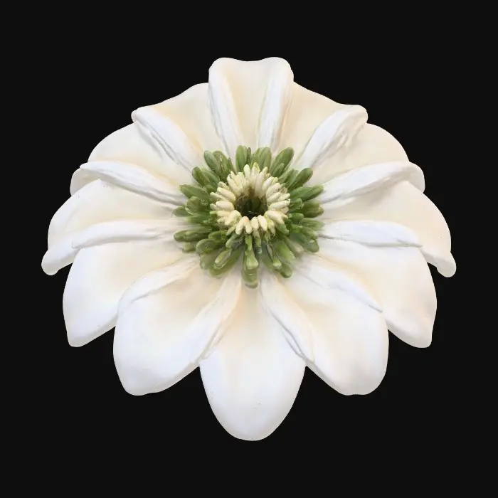 3D model for short cupped round  Flower base