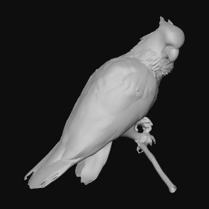 3D model for A precious baby Cockatoo with detailed feather texture is perched on a tree branch adorned with vibrant yellow blossoms. An arching branch extends gracefully above the bird, creating a natural frame.