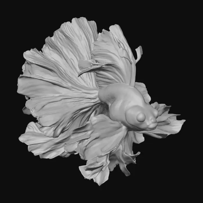 3D model for Graceful Spectrum