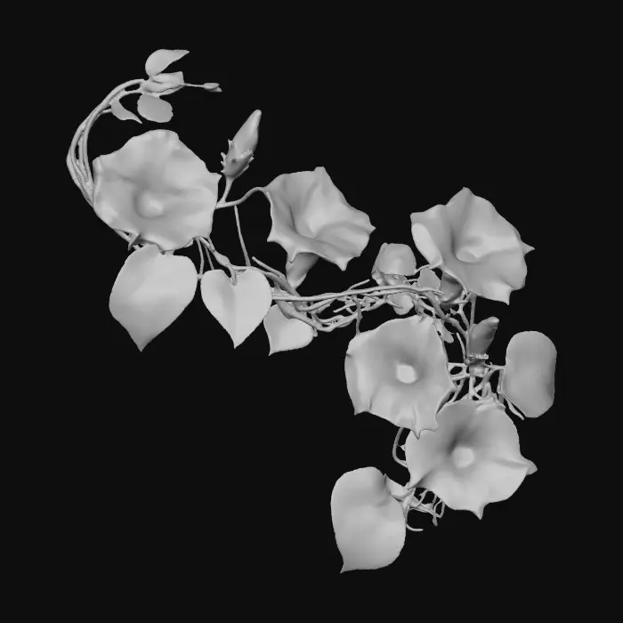 3D model for Midnight Bloom