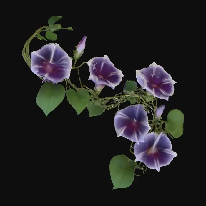 3D model for Midnight Bloom