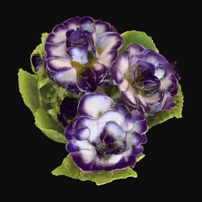 3D model for Violet Dreams