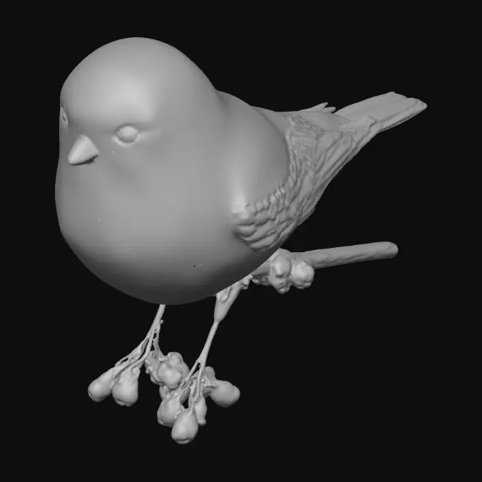 3D model for Berry Perch