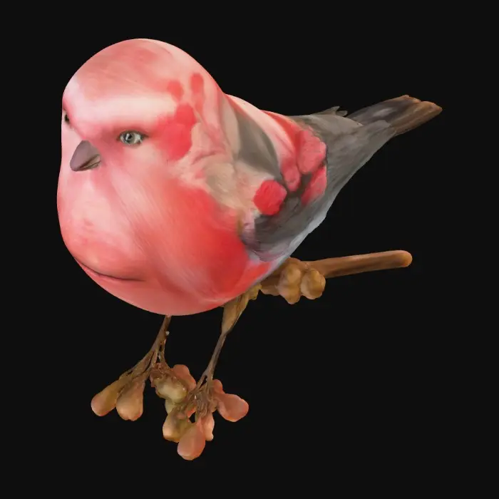 3D model for Berry Perch