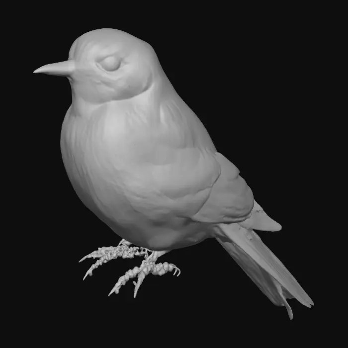 3D model for Bluebird Serenade