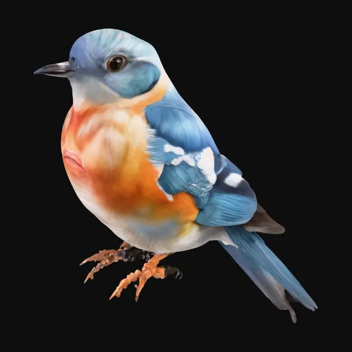 3D model for Bluebird Serenade