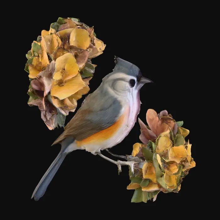3D model for Blossom Perch