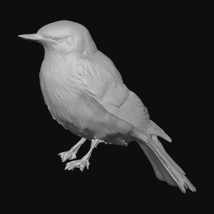 3D model for Sky Melody