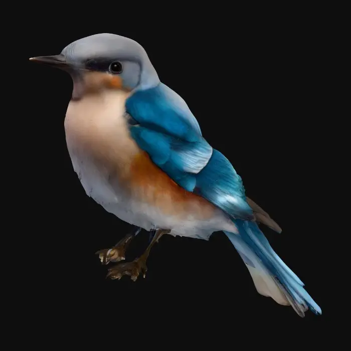 3D model for Sky Melody