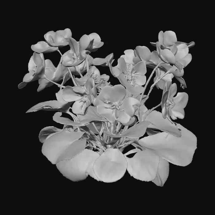 3D model for Violet Serenity