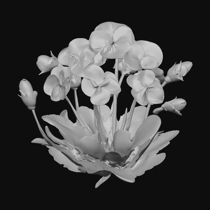 3D model for Viola Bloom