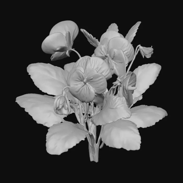 3D model for Vibrant Violets