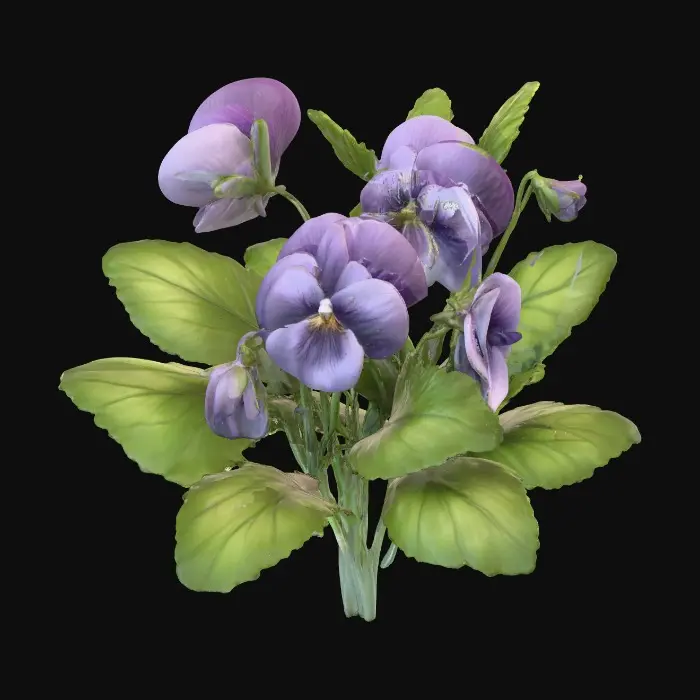 3D model for Vibrant Violets