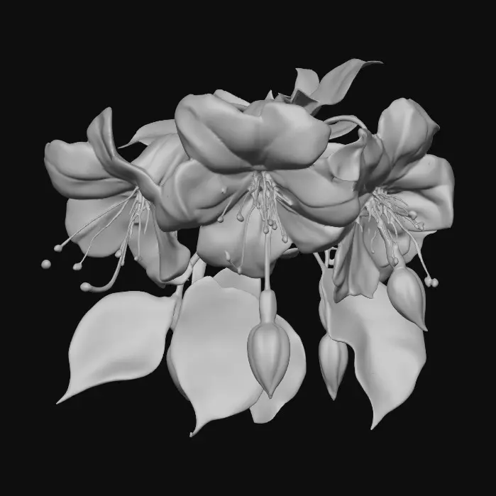 3D model for Fuchsia Blooms