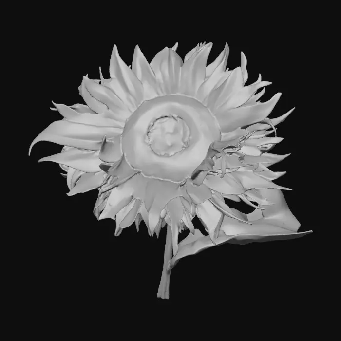 3D model for Radiant Bloom