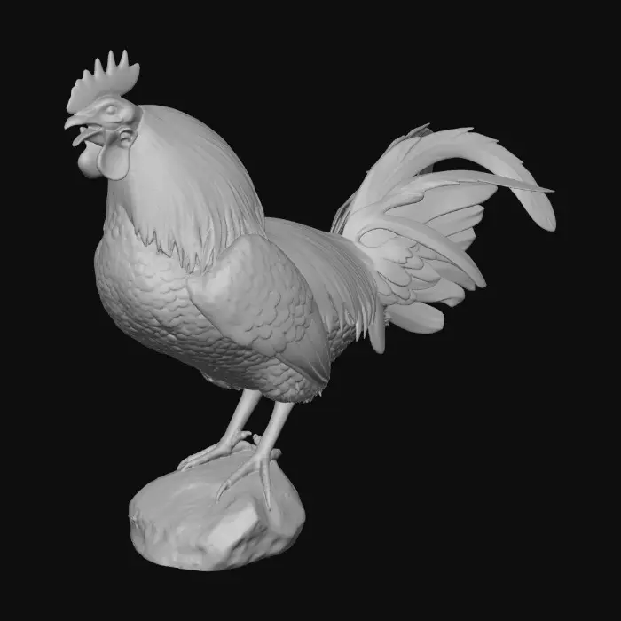 3D model for Majestic Rooster.