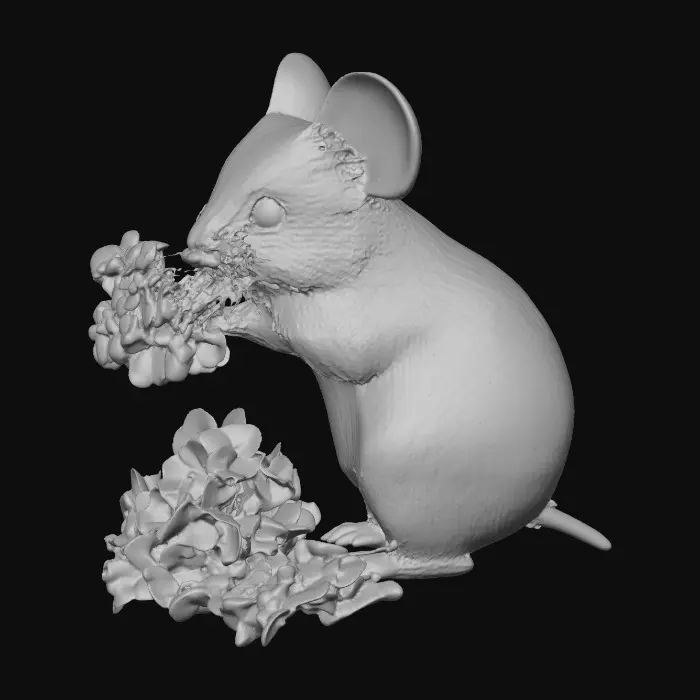 3D model for Mouse and Blue Blossoms